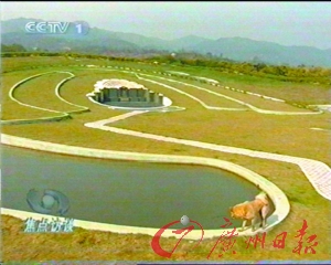 ֧Ȧ243ӺAĹ(MD)