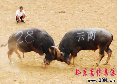 齭չʾ^  Z