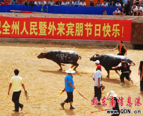齭չʾ^  Z