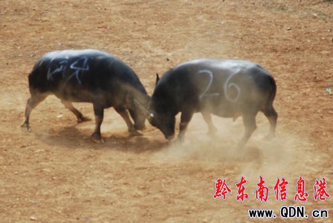 齭չʾ^  Z