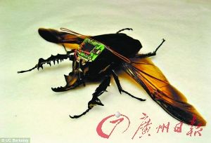 оˆToxbCеϵyw(D)