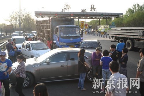 動物保護(hù)組織高速路攔運(yùn)狗車阻止殺狗(組圖)
