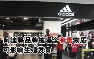 ϵ14ƷƱ涾 Ӱֳl