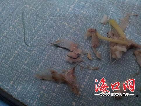 海口餐館用餐吃出魚鉤 客人留證據老板否認