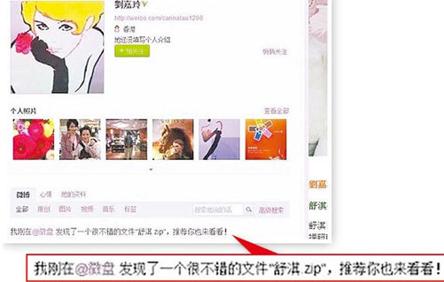 劉嘉玲承認下載舒淇