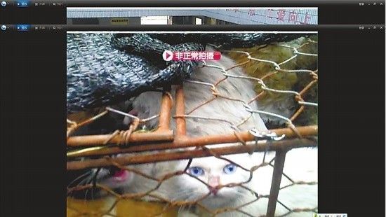 昆明電視臺街頭巷尾供圖。