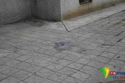 山東14歲初一少女因不愿剪短頭發跳樓身亡(圖)
