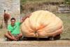 (dng)?sh)ؕr(sh)g827գCarsacr(nng)Fabrice BoudyoNһ(g)ϹϣԓϹ_(d)643ǧˡ
