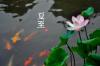 @ຆ(jin)jane t(y)(i)ΣڿձЂ(g)24(ji)ƬľW(wng)վ󣬏Ĕz˃Ƭزxһ׶ʮĹ(ji)zӰDЇ(gu)Ϣ