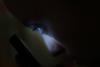 1012գҕ_t֙C5ҷ˵Ԓ̖aF w z